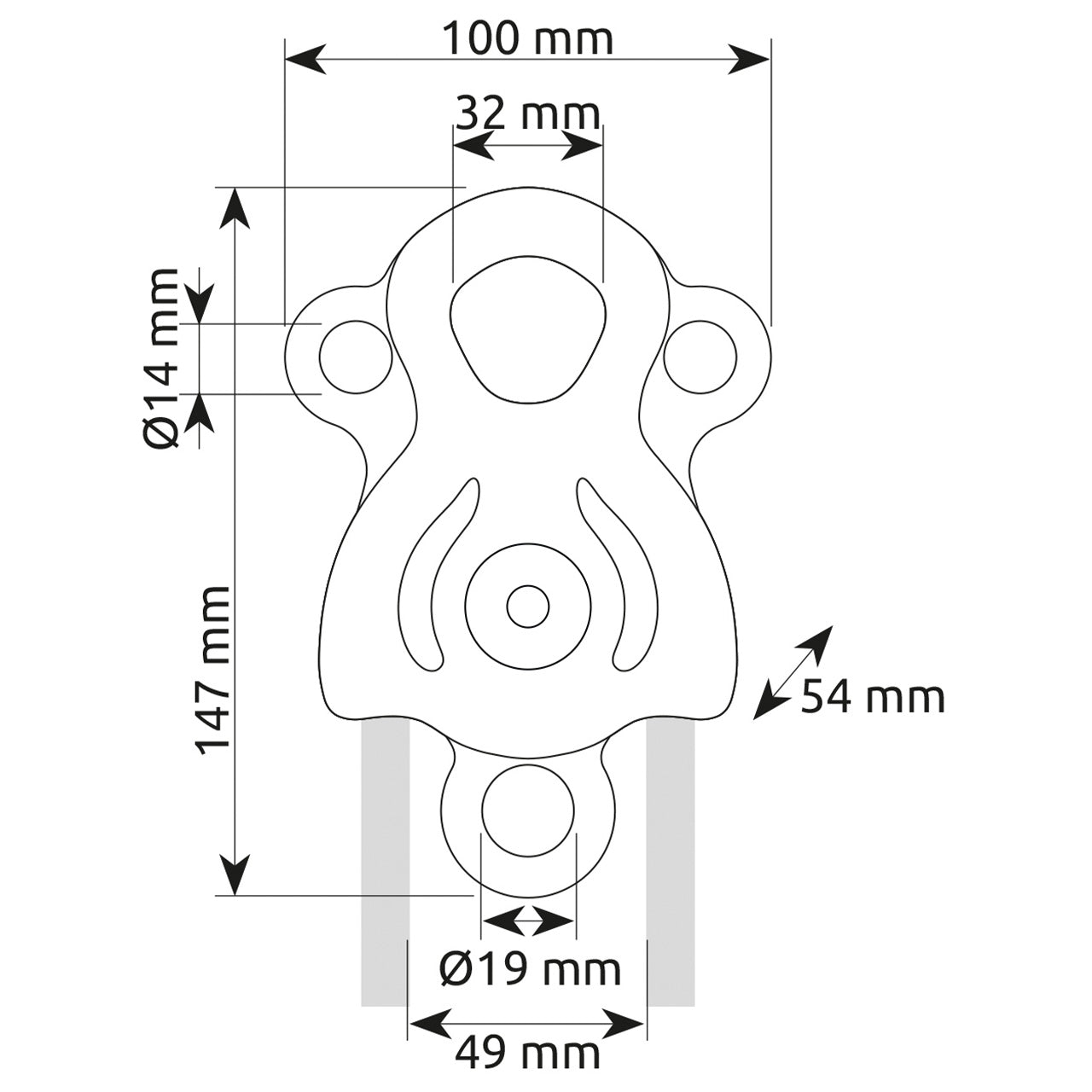 Janus Pro