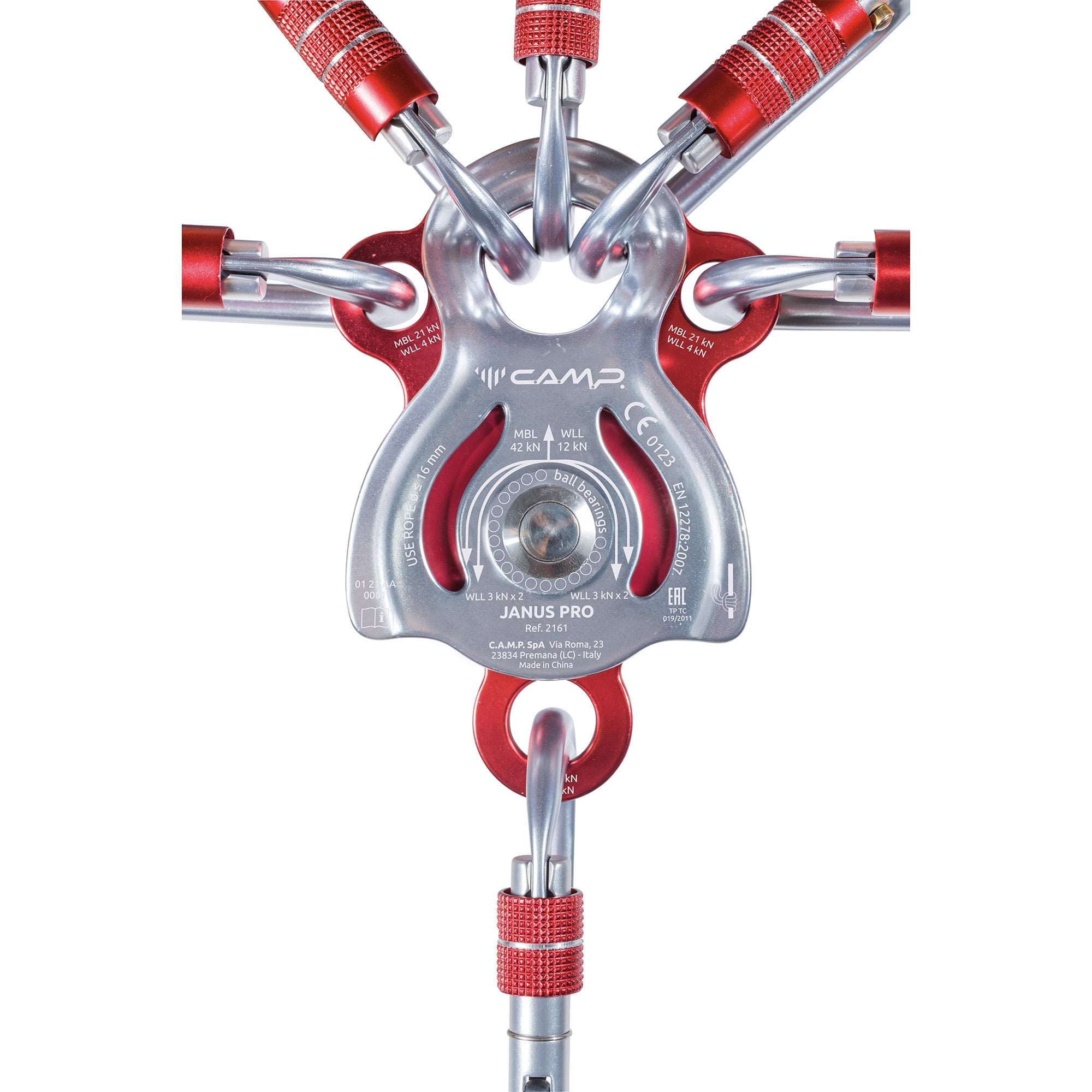 Janus Pro