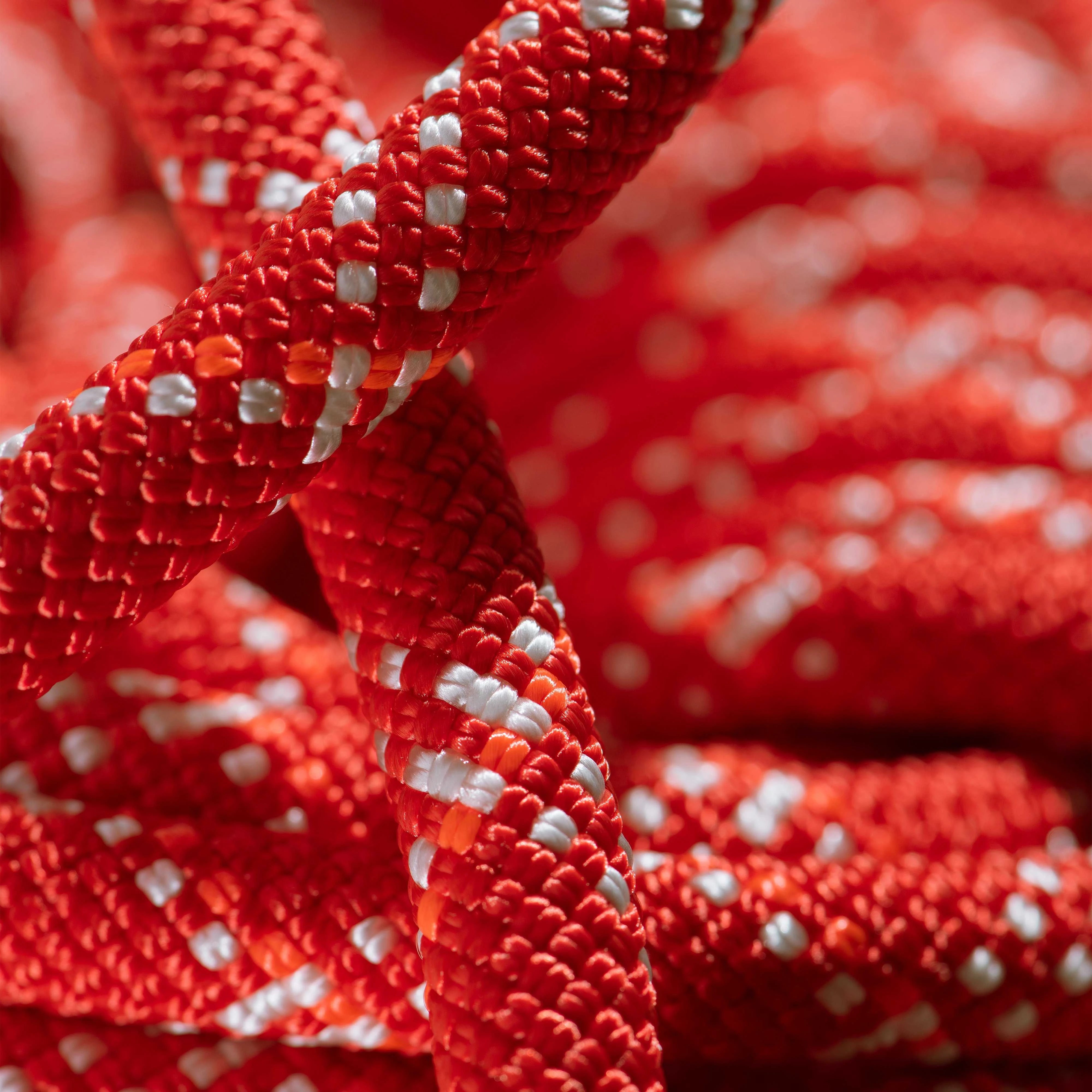 #color_Red
