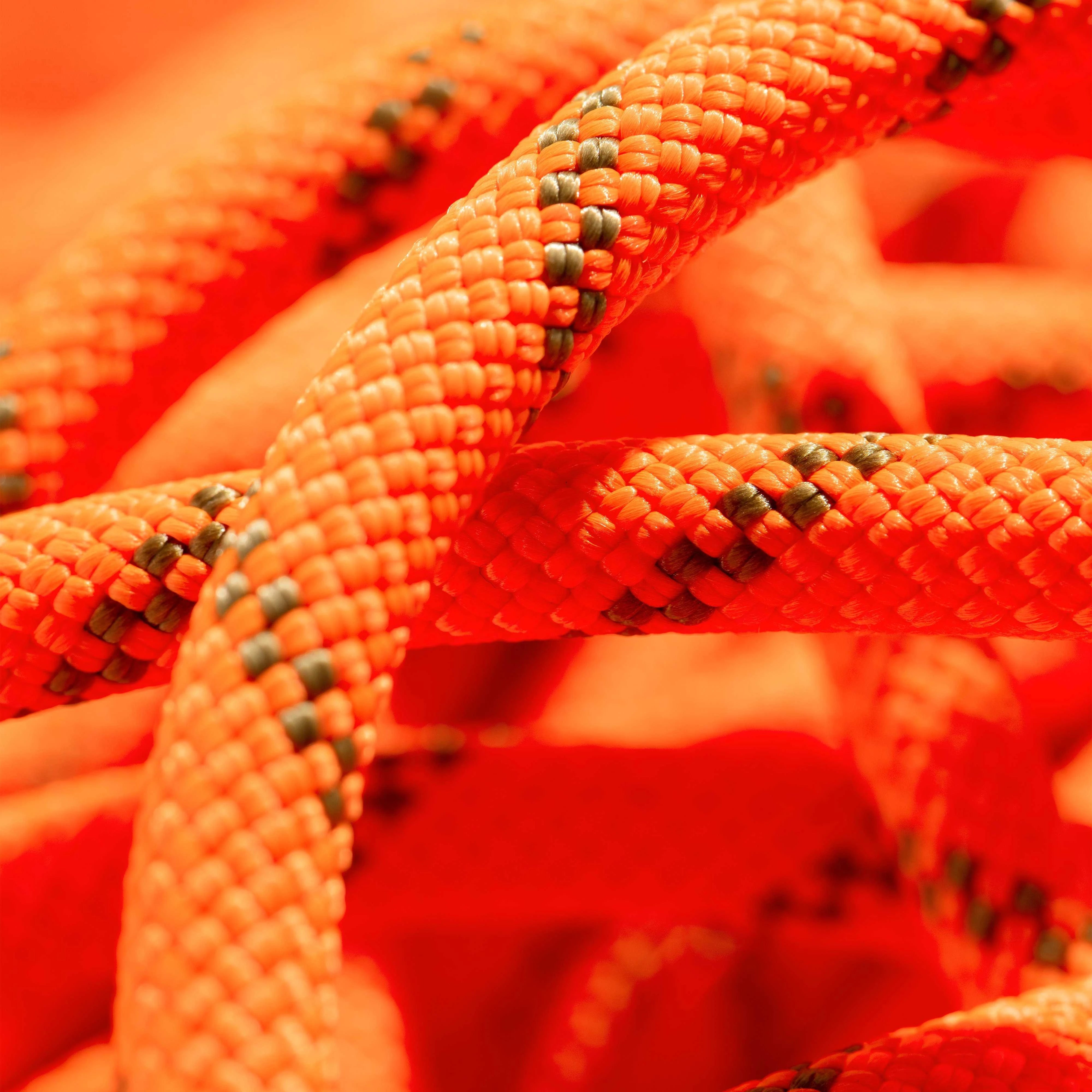 #color_Vibrant orange-boa