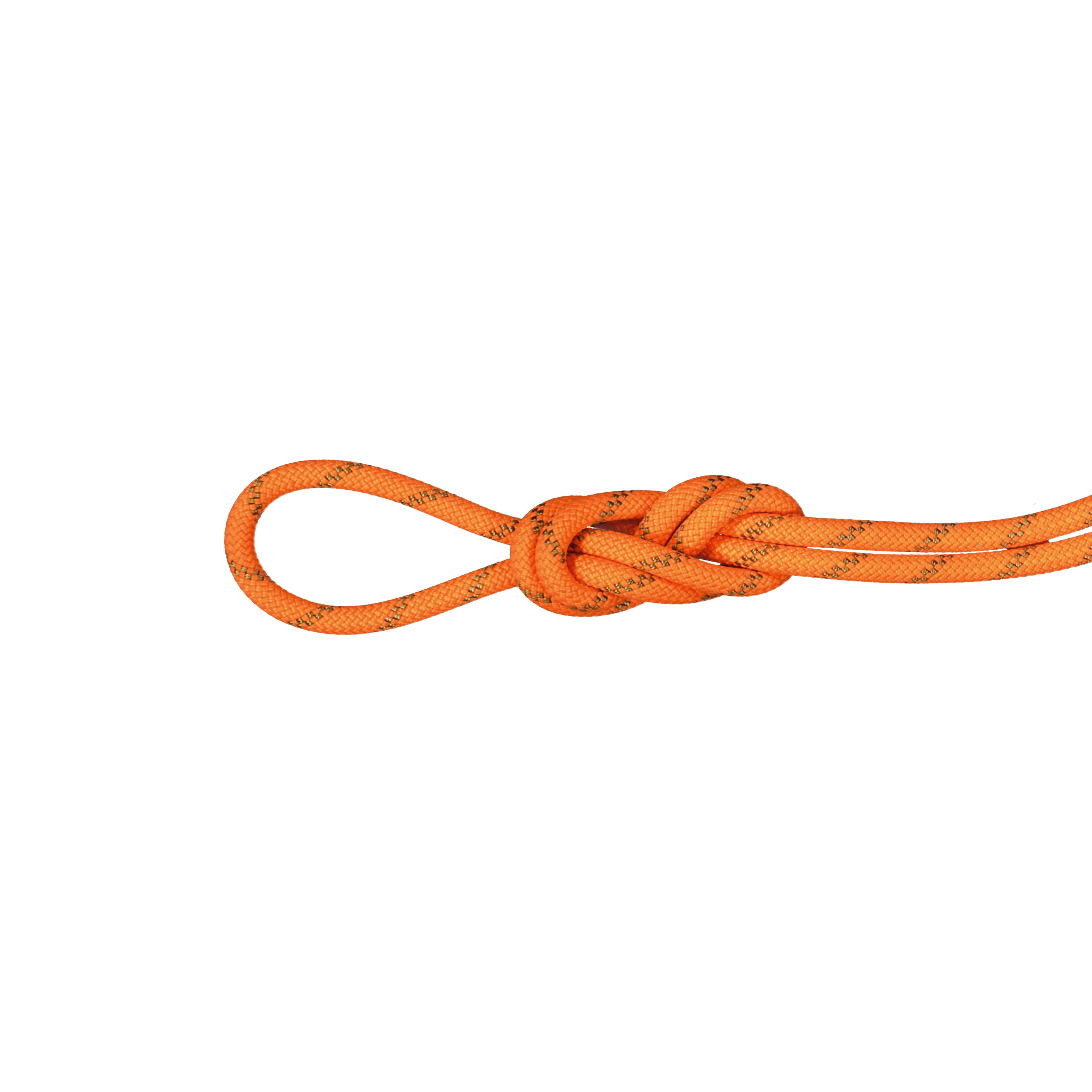 #color_Vibrant orange-boa