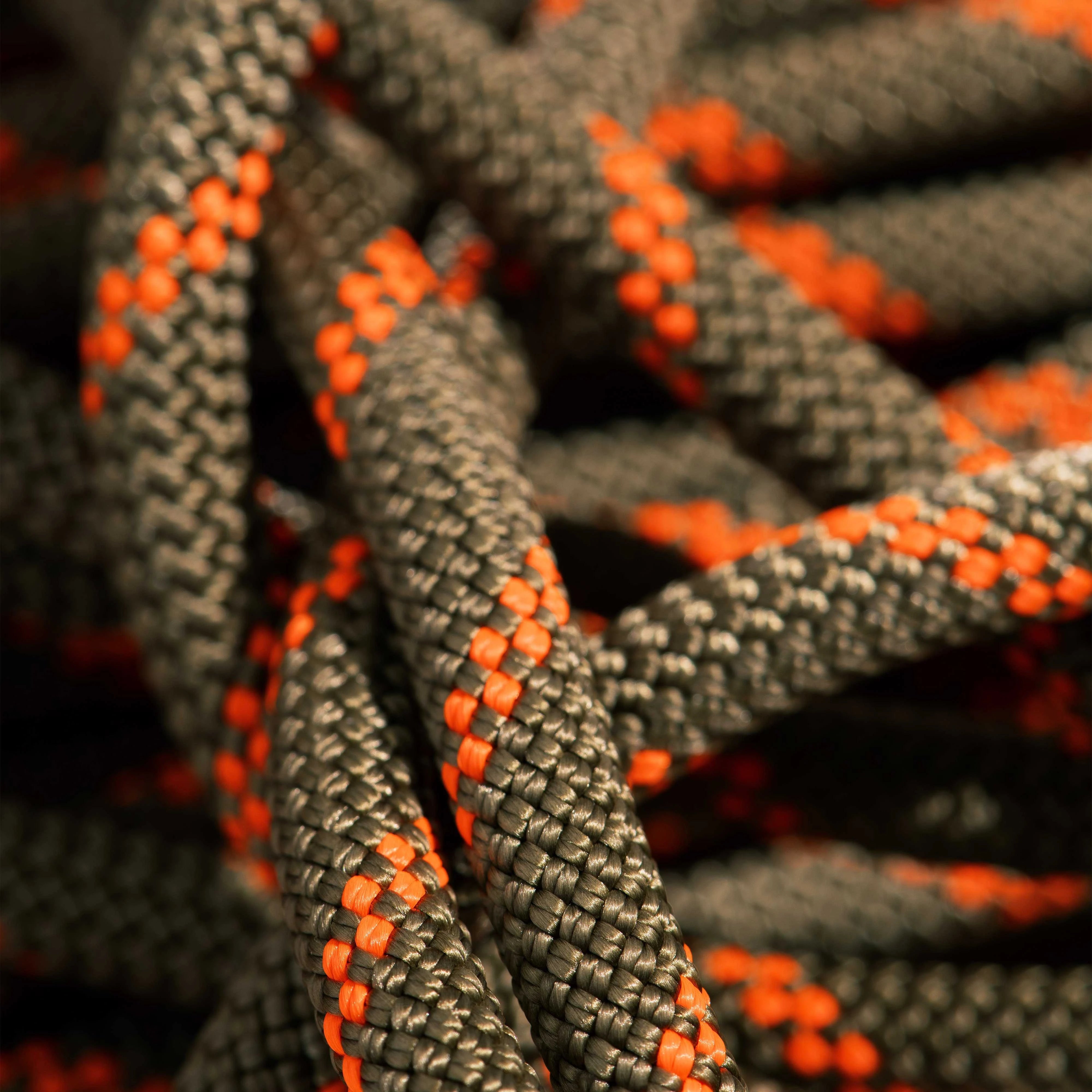 #color_Boa-vibrant orange