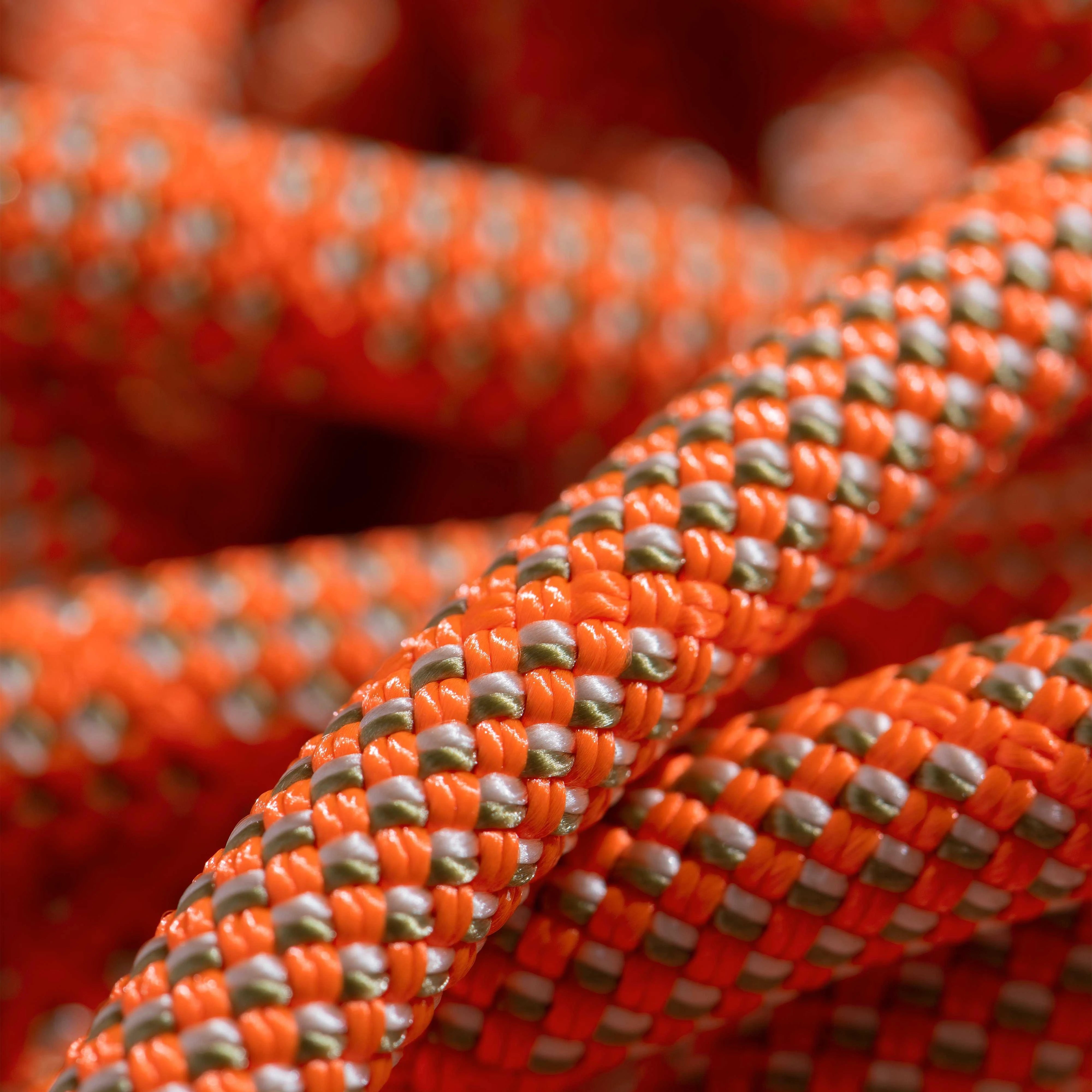 #color_Orange