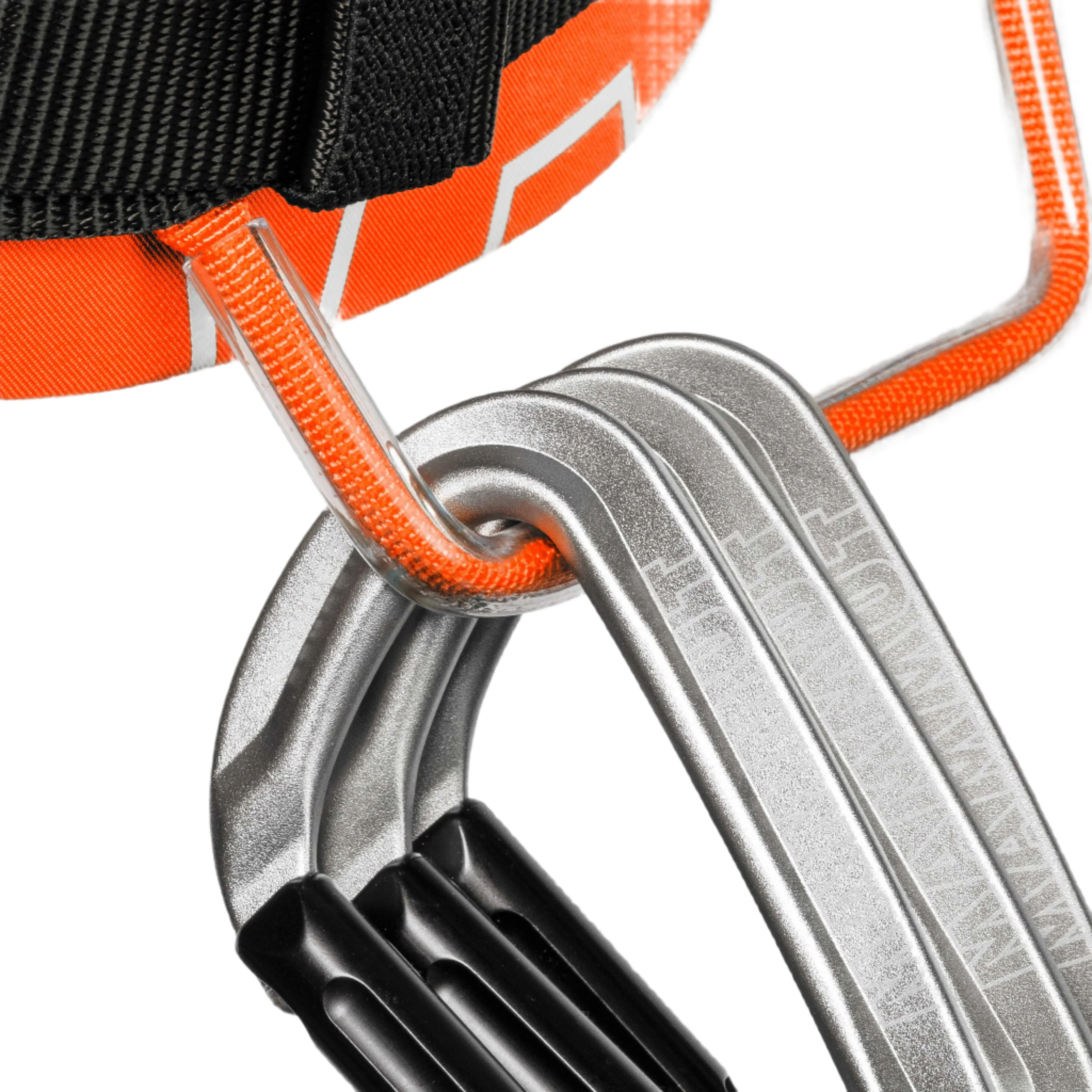 #color_Orange - Black