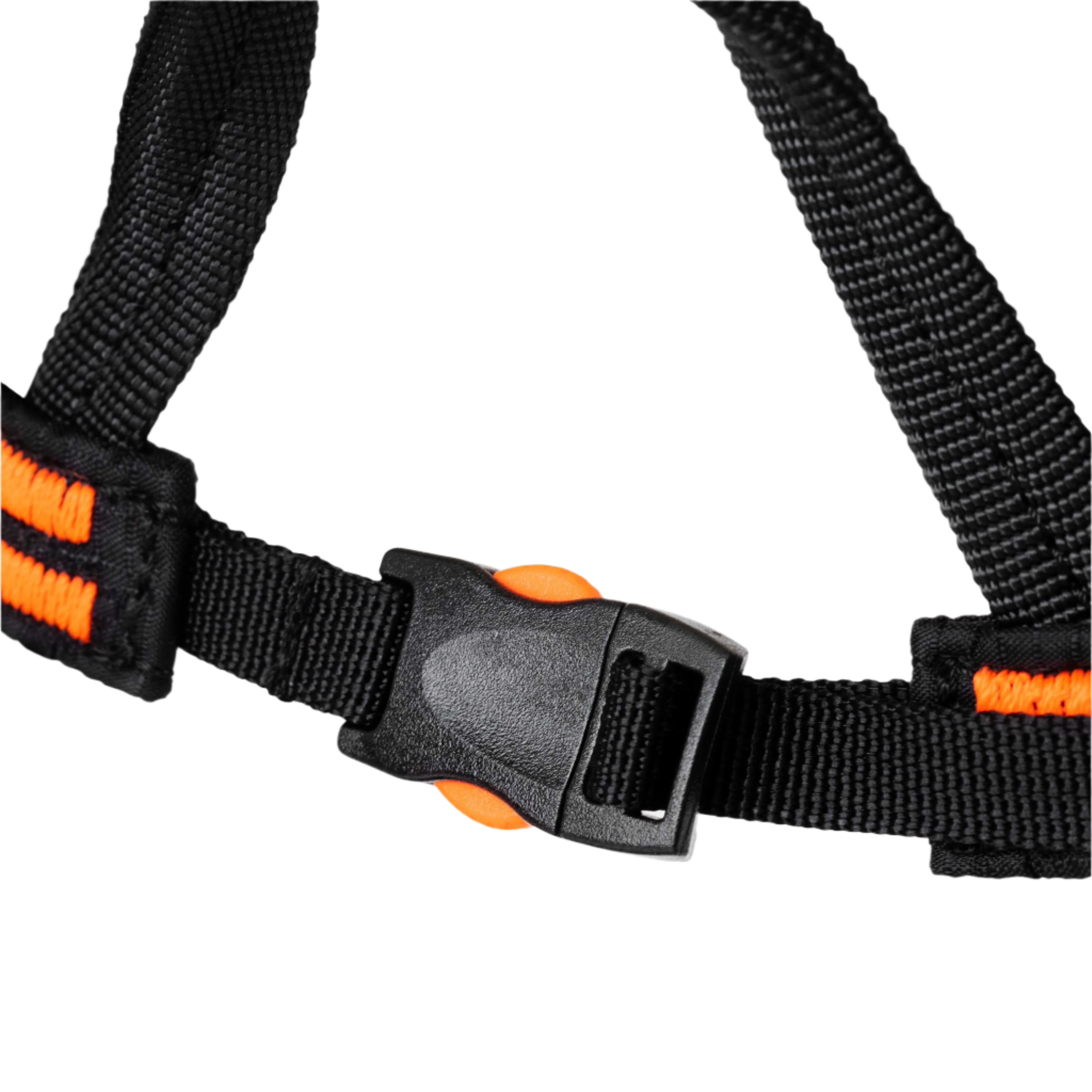 Eiger Speed