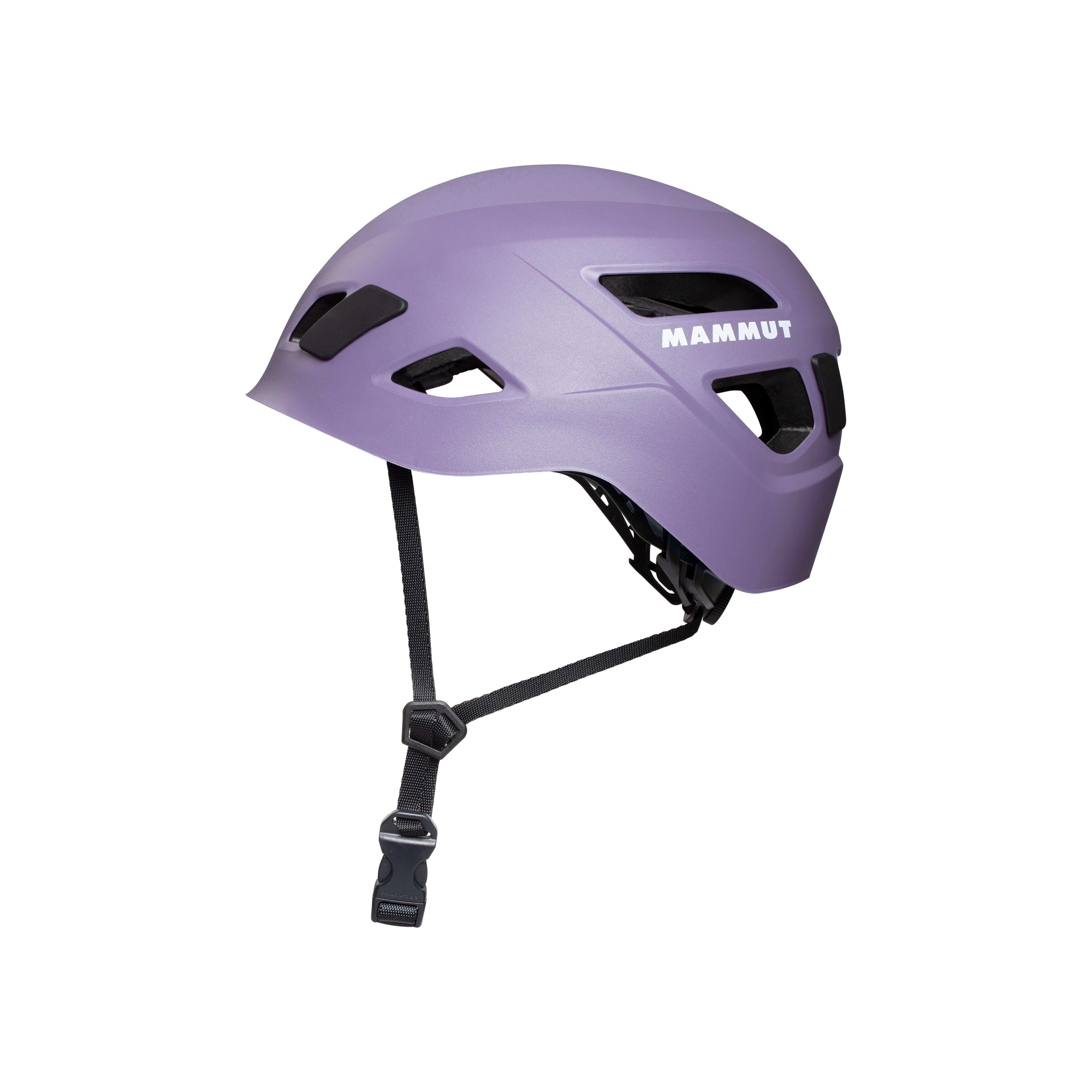 #color_Purple