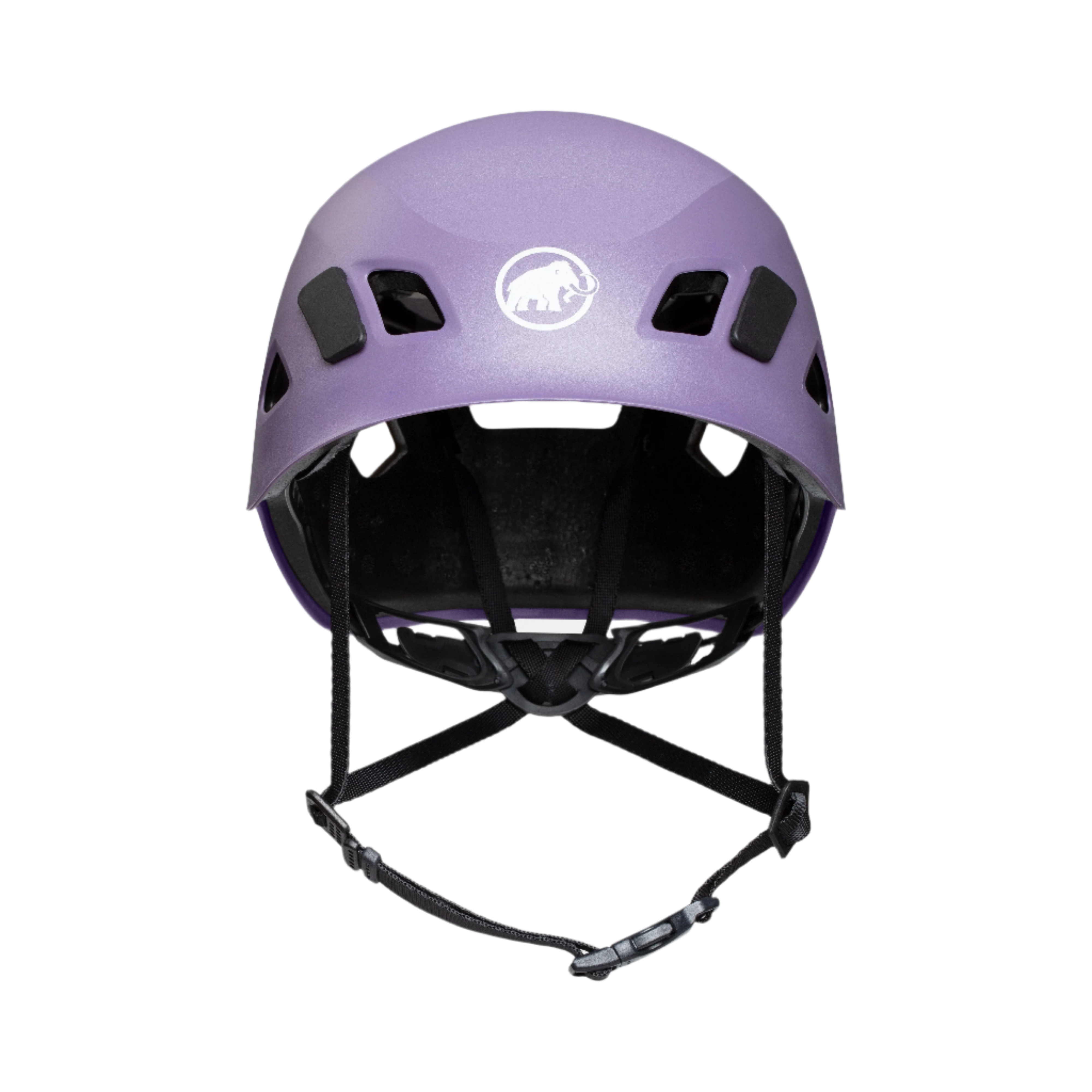 #color_Purple