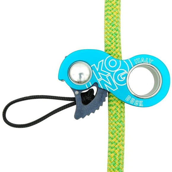 #color_Cyan