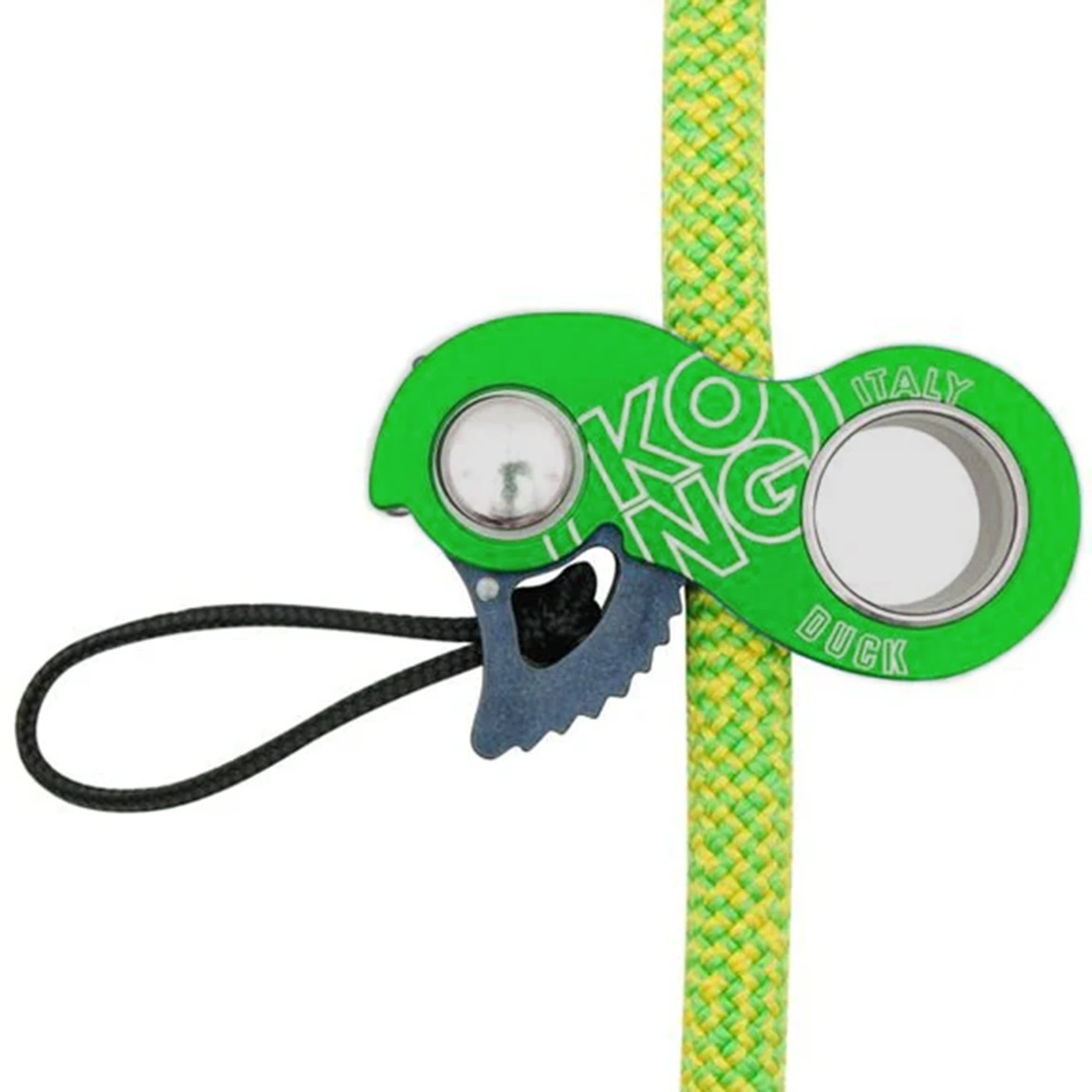 #color_Green