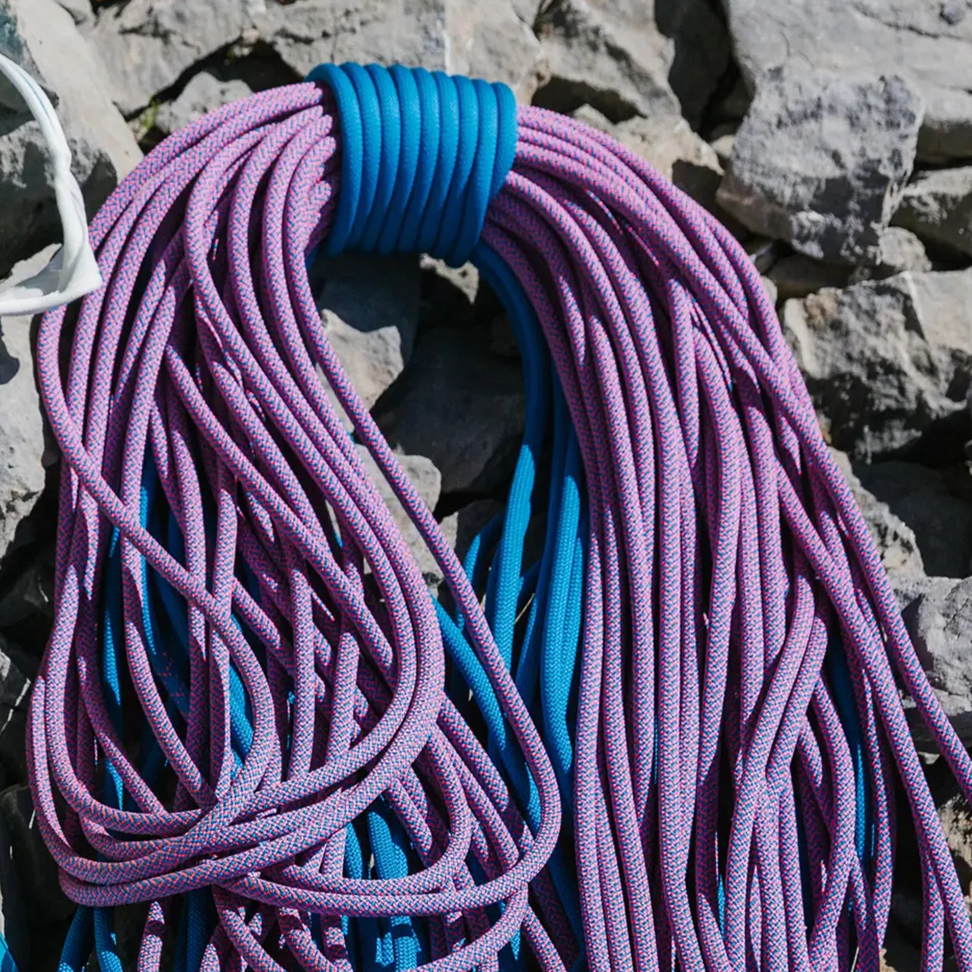 Tommy Caldwell Eco Dry ColorTec - 9.3mm
