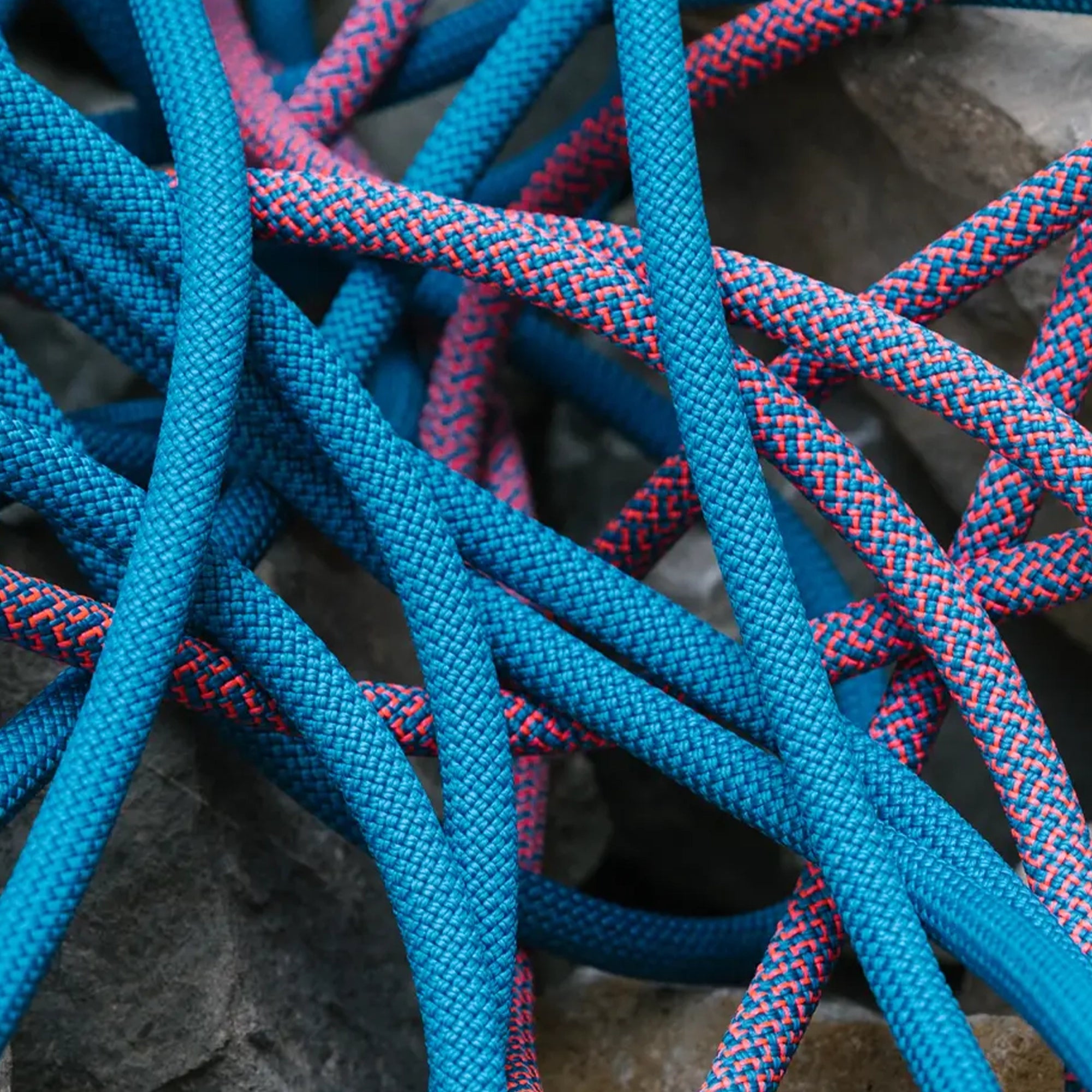 Tommy Caldwell Eco Dry ColorTec - 9.3mm
