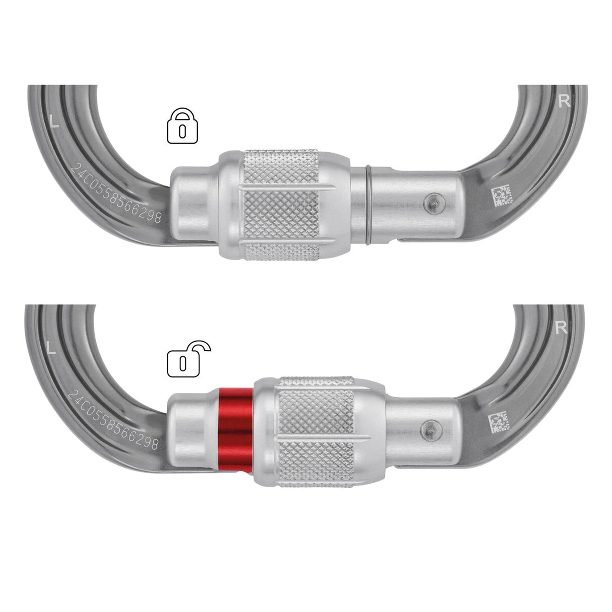 Omni Screw