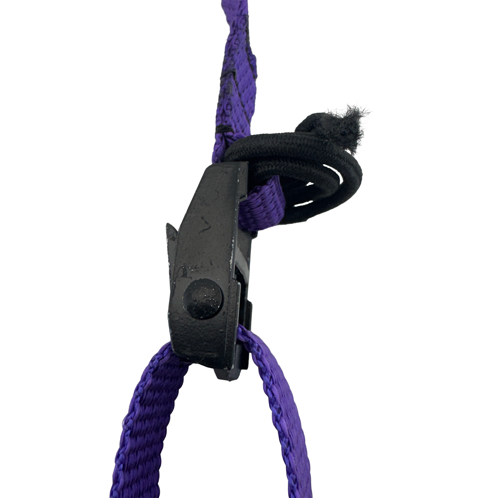 #color_Purple