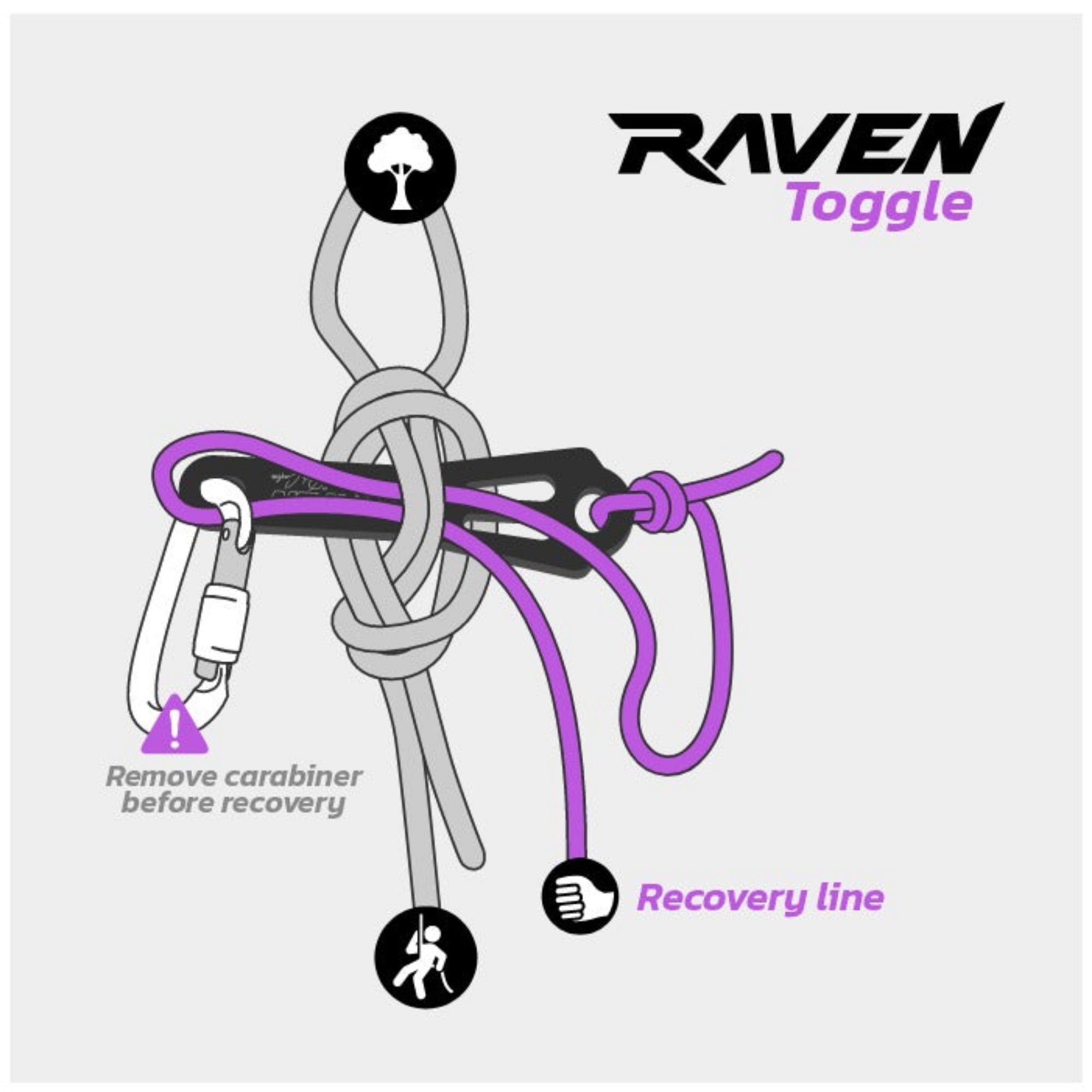 Raven