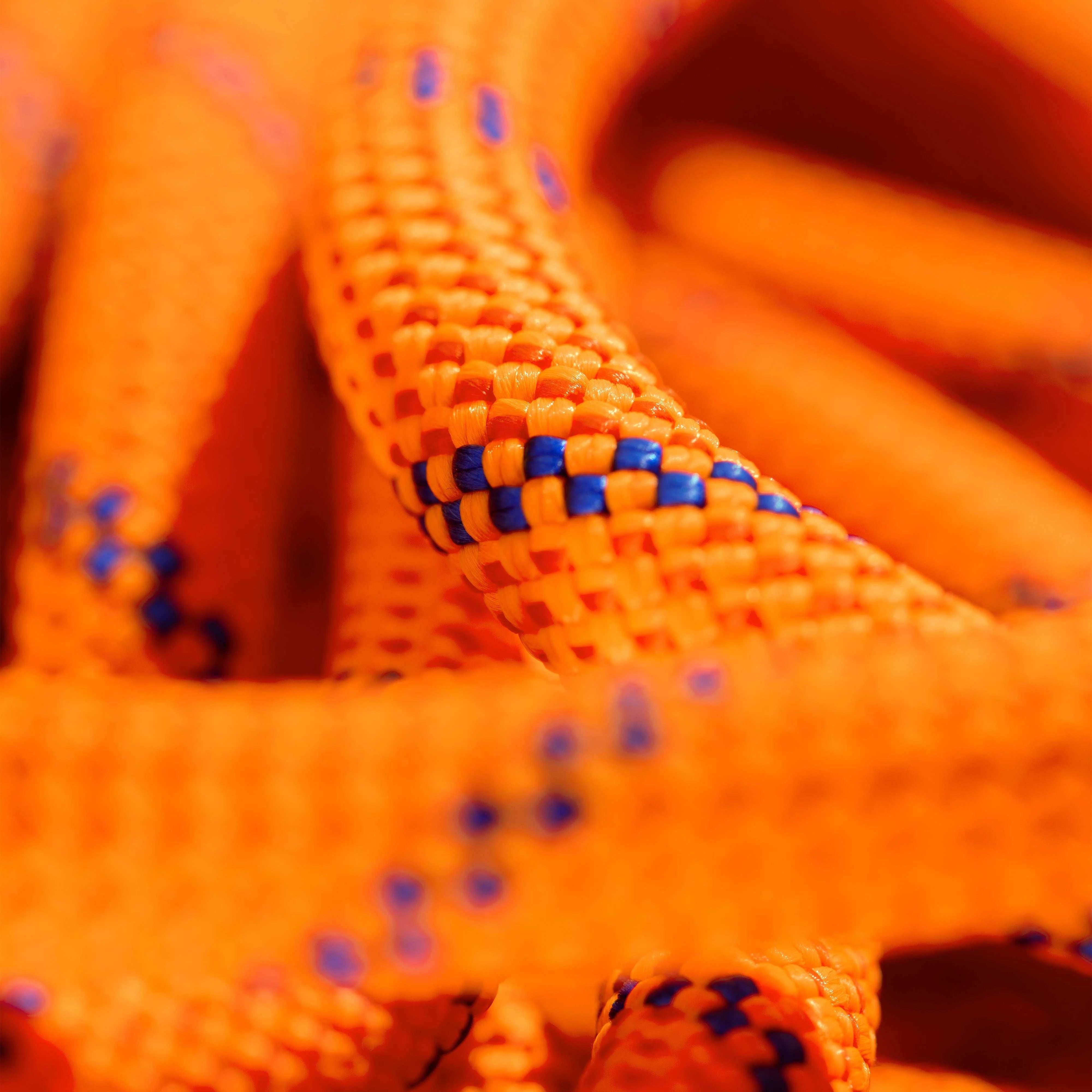 #color_Orange