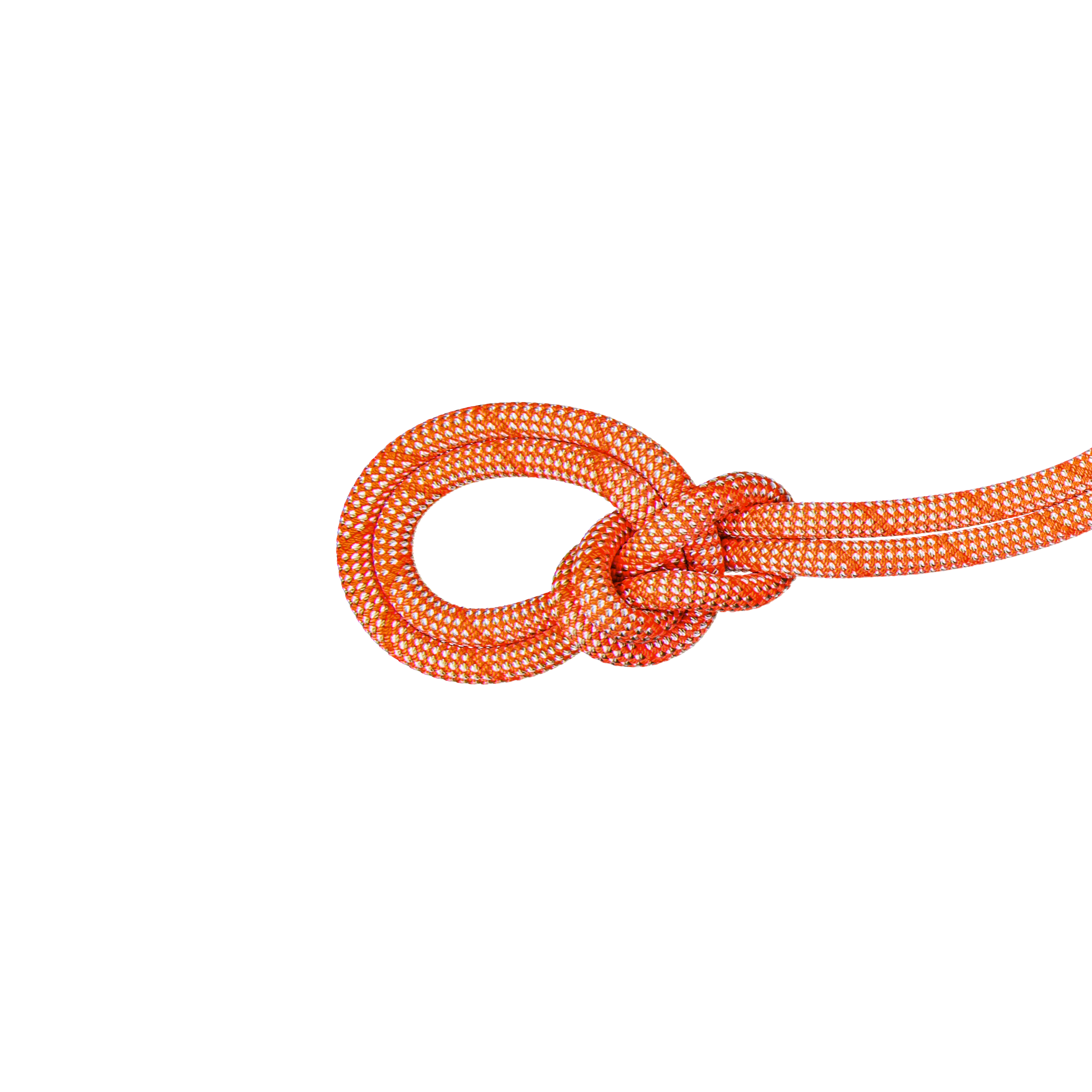 #color_Orange
