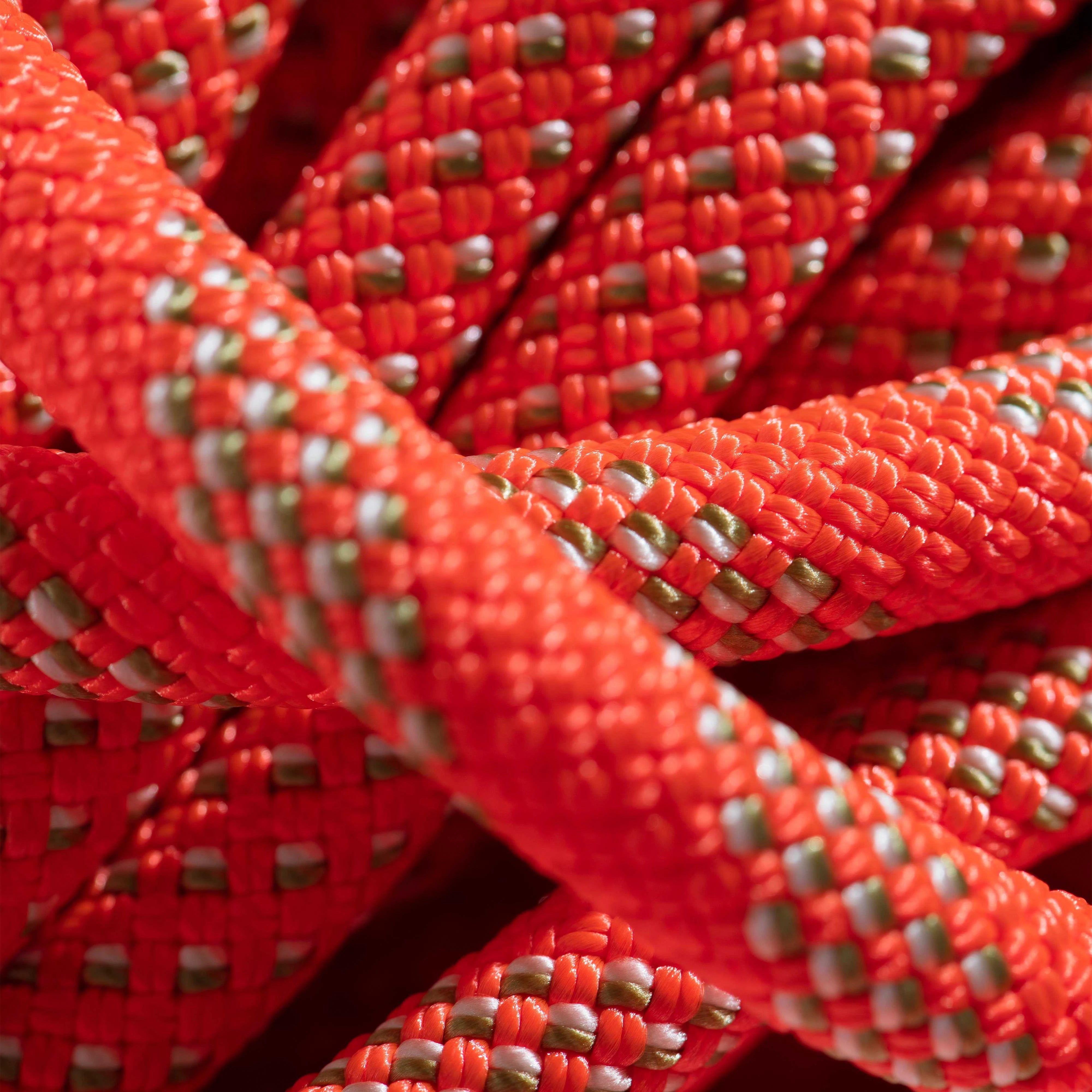 #color_Orange - Bicolor