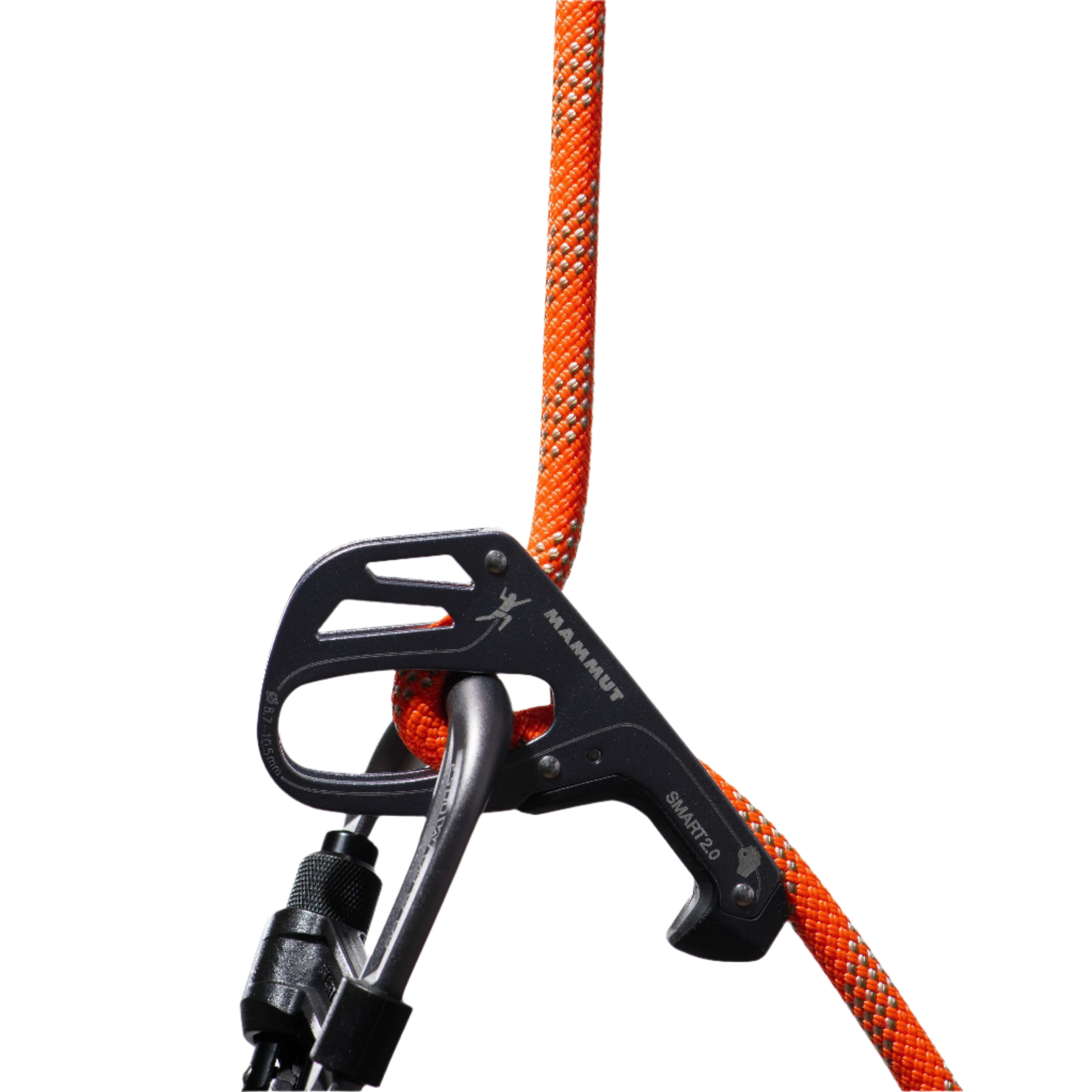 #color_Orange - Bicolor