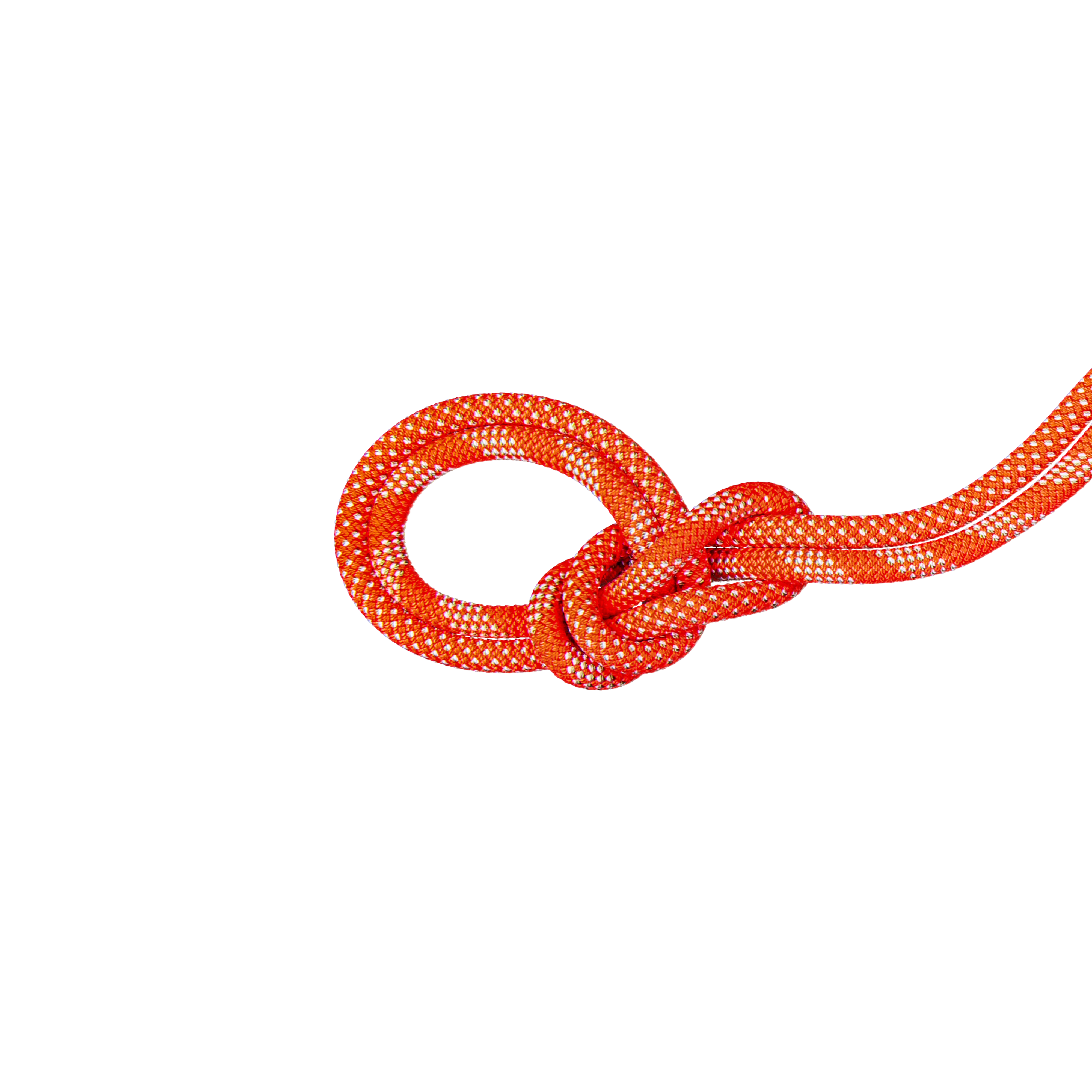 #color_Orange - Bicolor