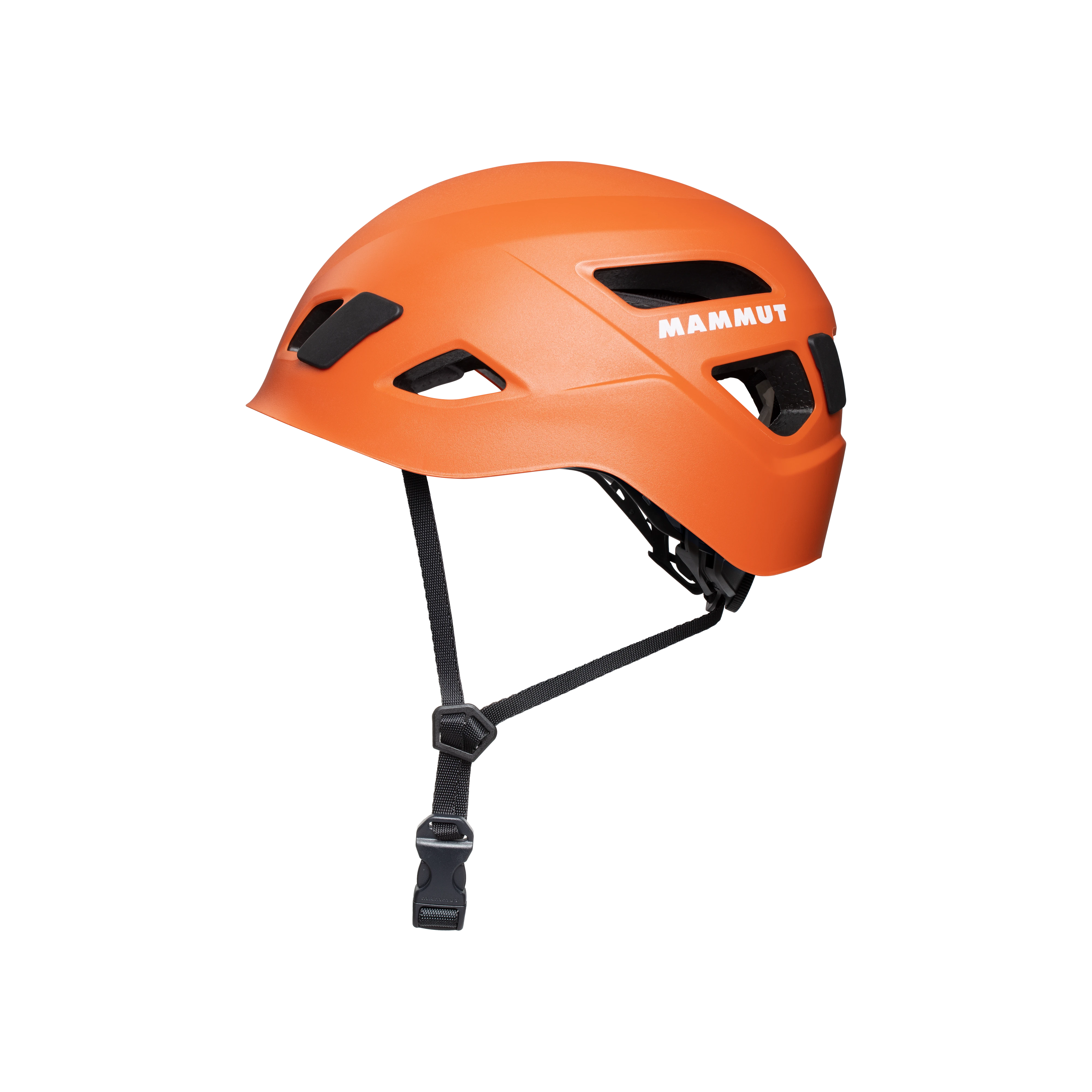 #color_Orange
