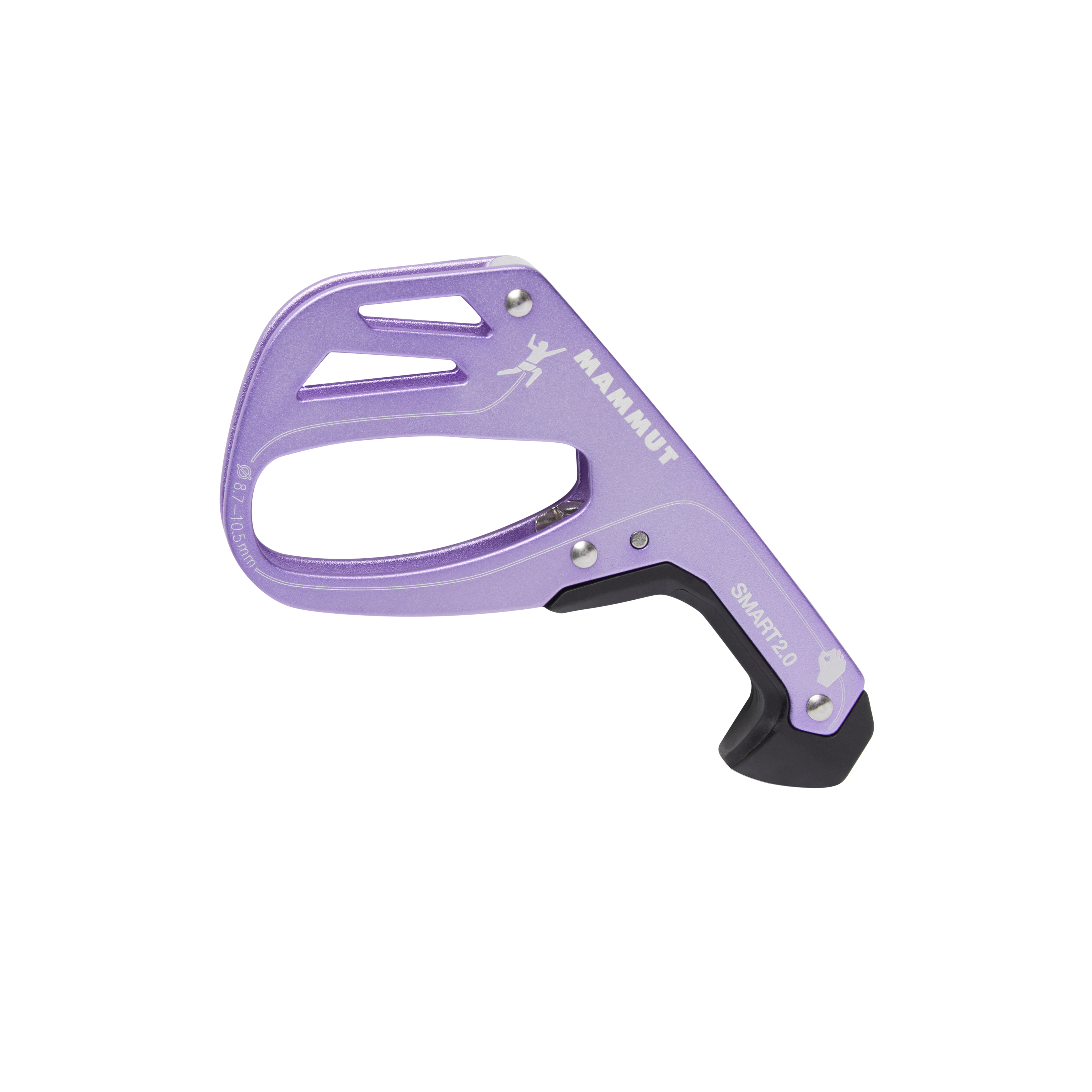 #color_Alpine Calamint