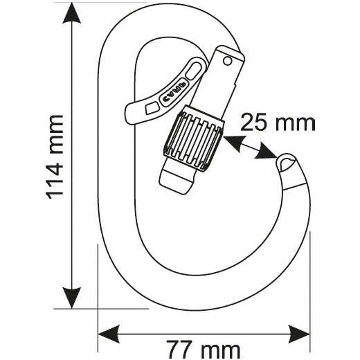 Core Belay Lock