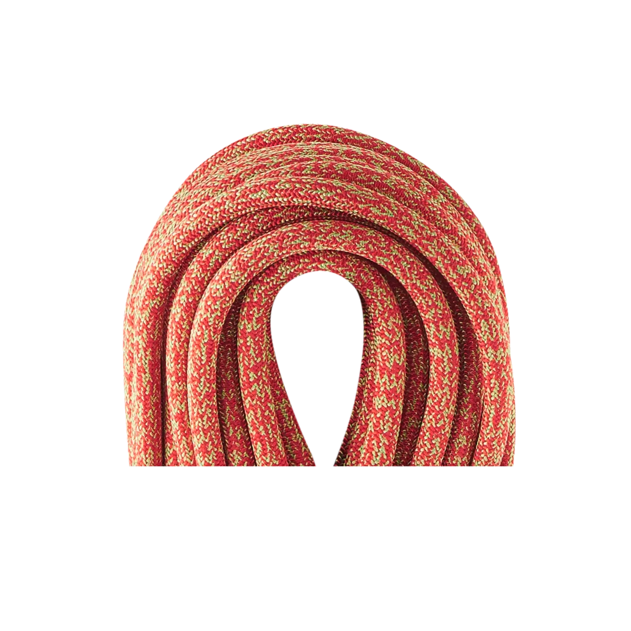 Edelrid Boa Gym - 9.8mm Dynamic Rope