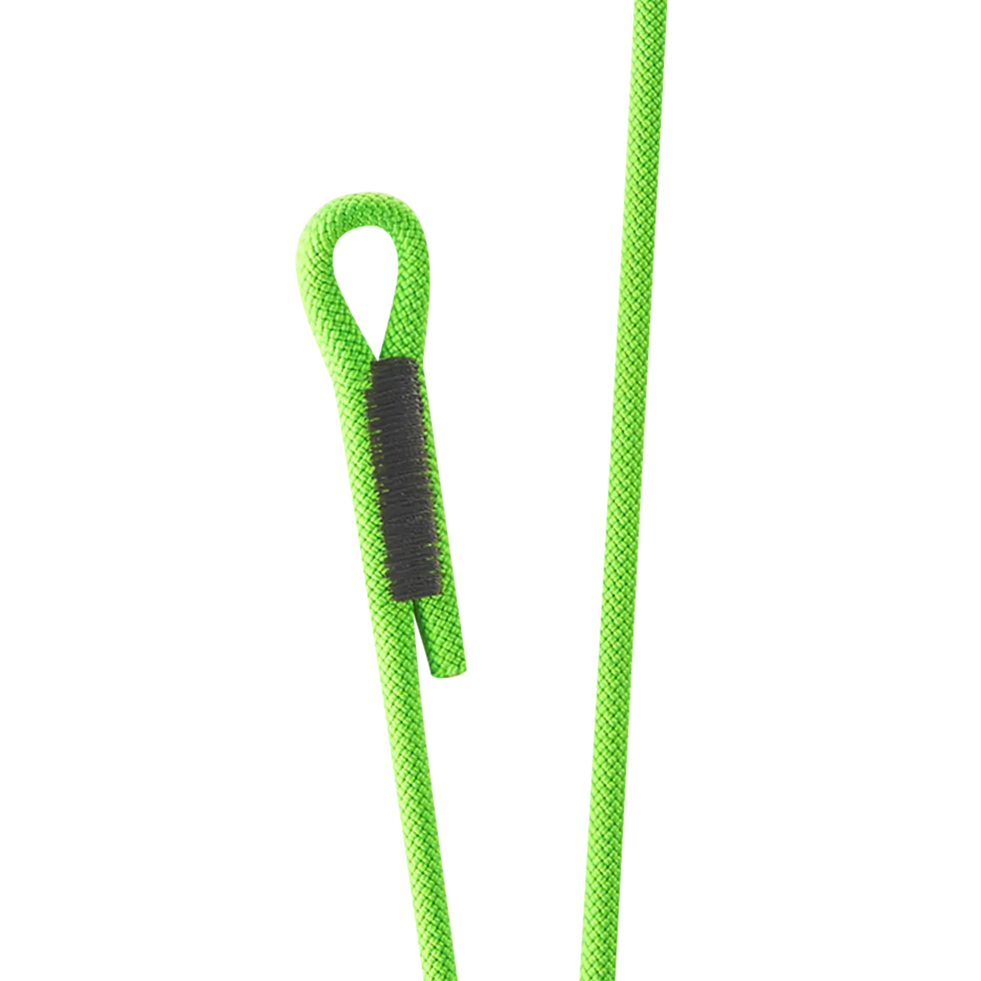 Switch Double Personal Anchor