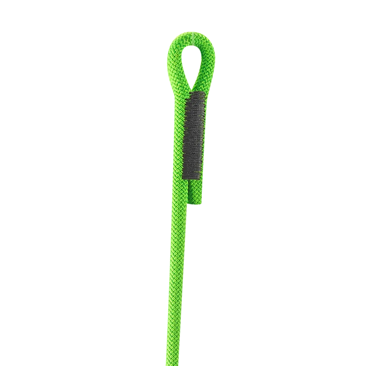 Switch Double Personal Anchor