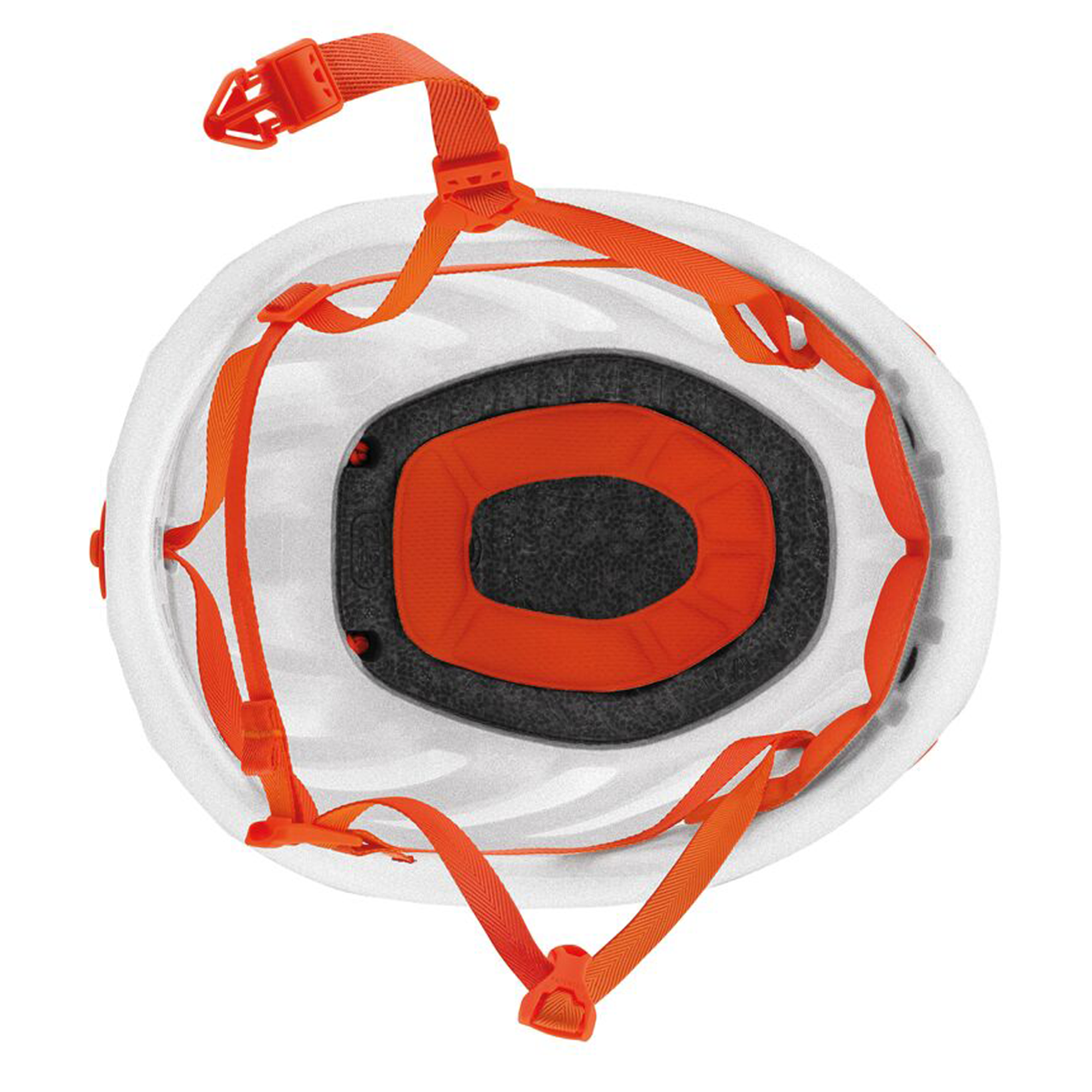 #color_White/ Orange
