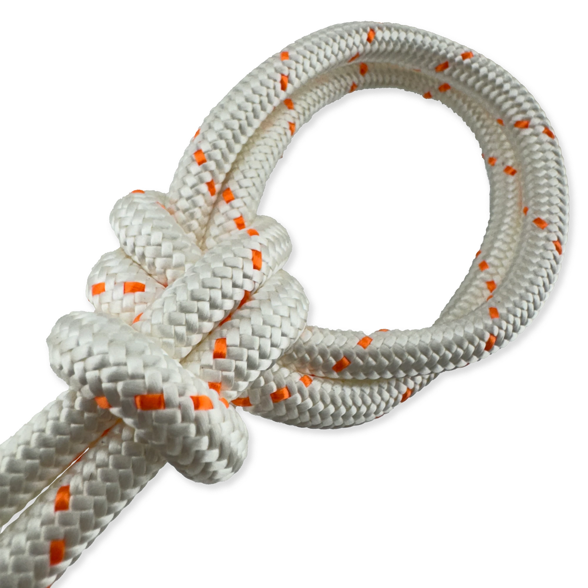 id=[50589618536763, 50589618503995]