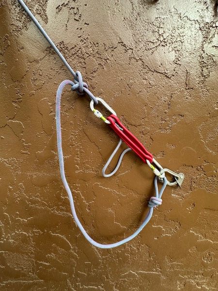 Avant Comfort Catch Bundle