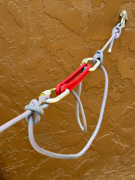 Avant Comfort Catch Bundle