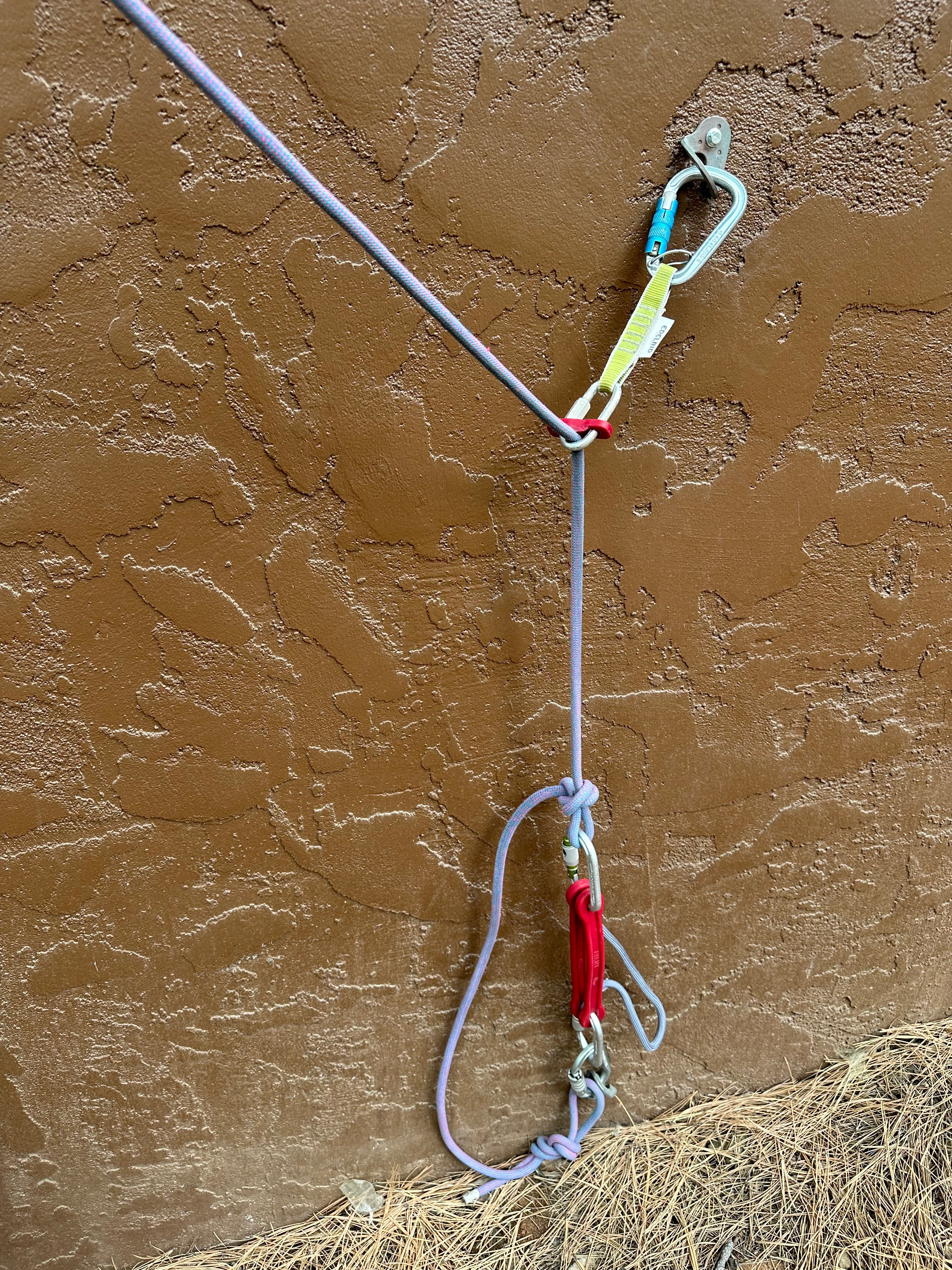 Avant Comfort Catch Bundle