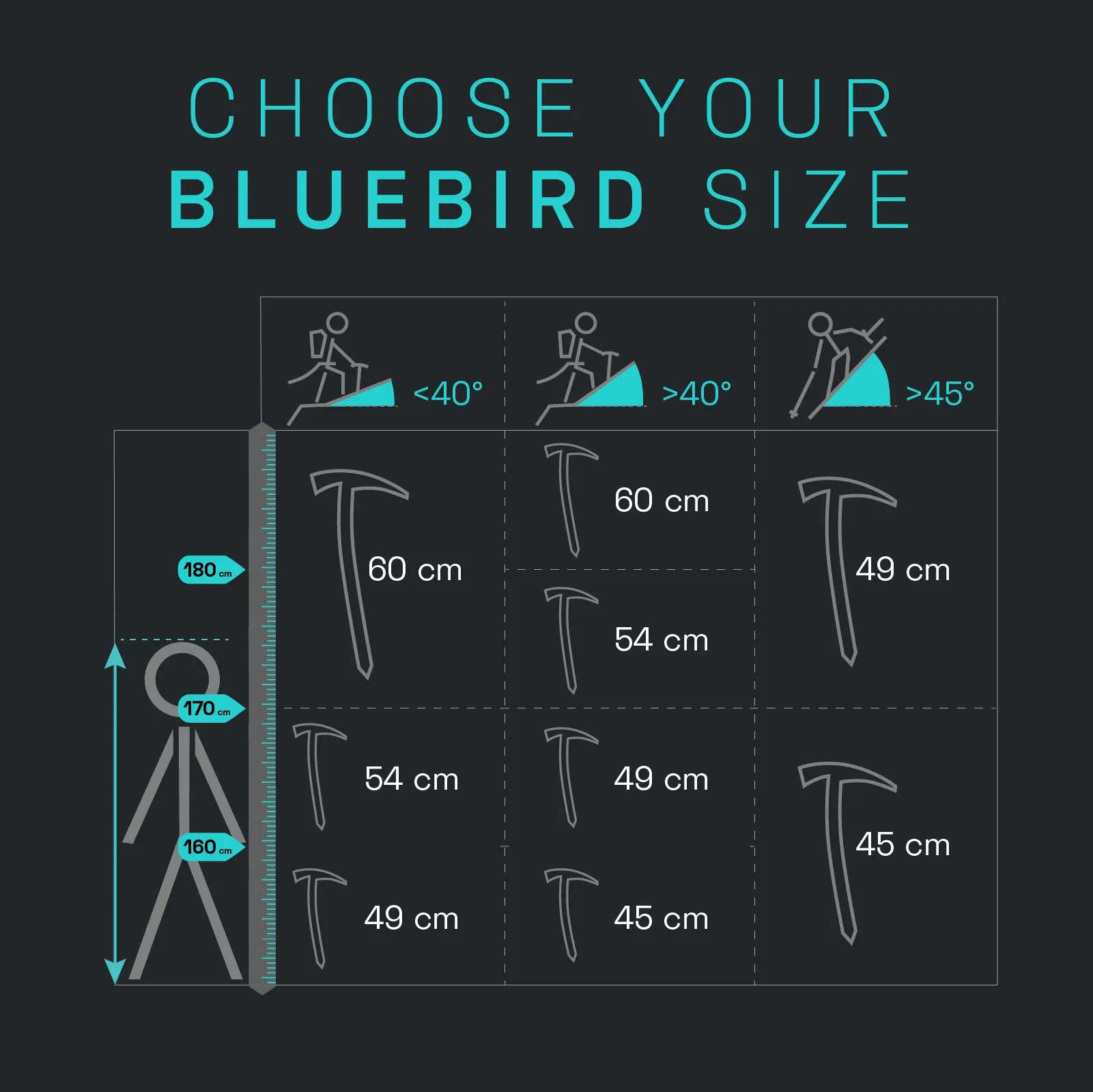 Bluebird Ice Axe