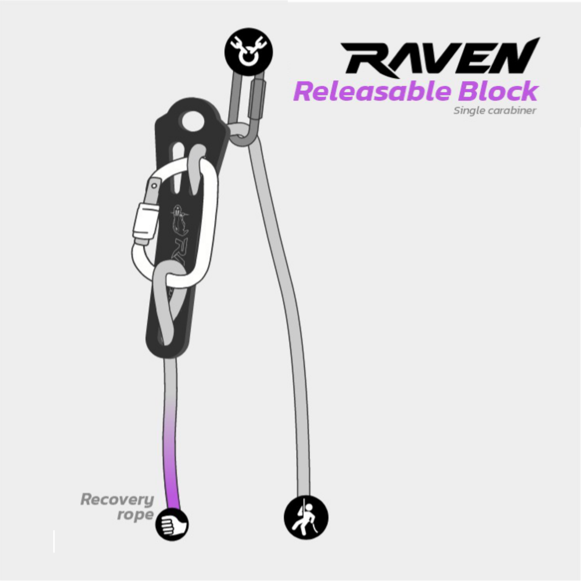 Raven