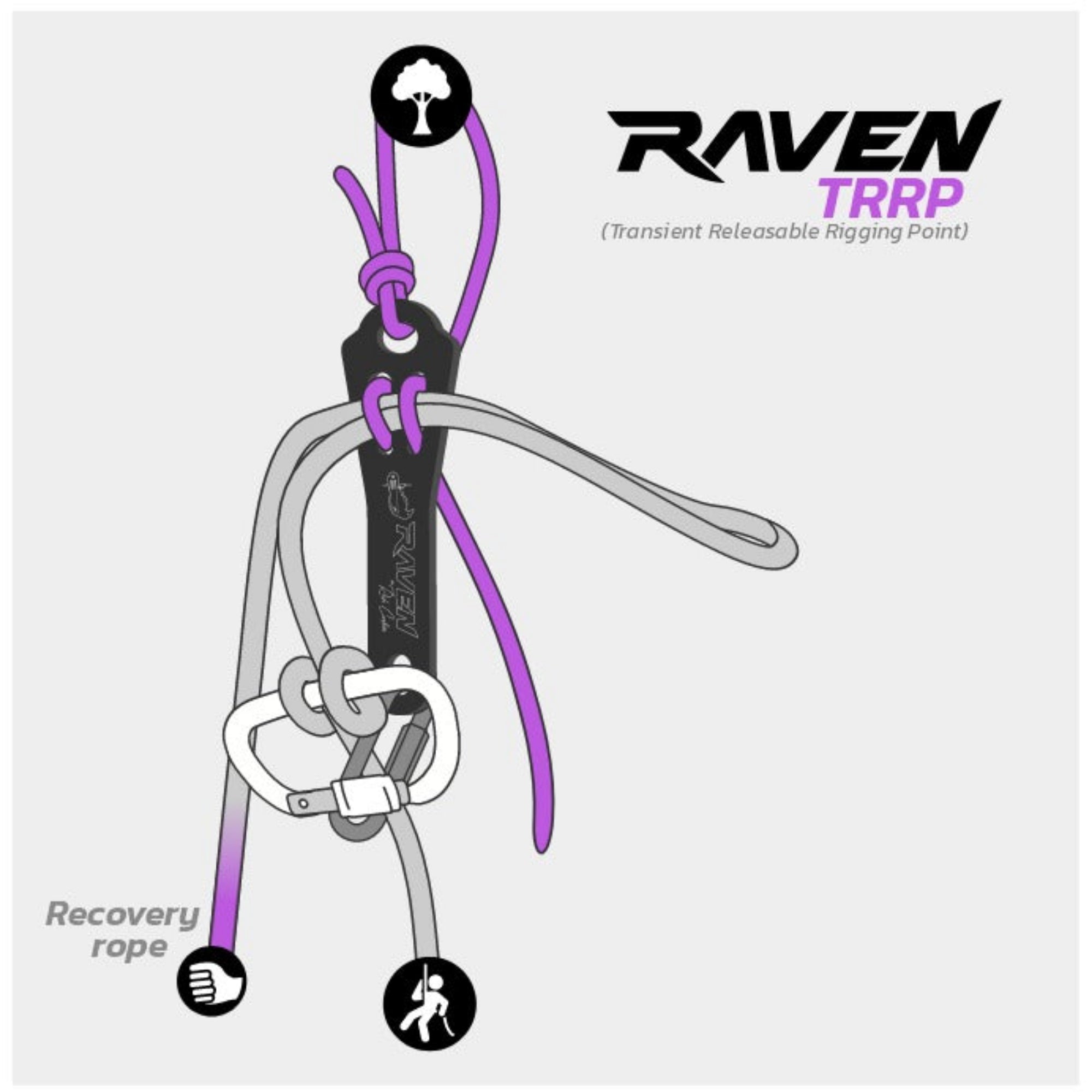 Raven